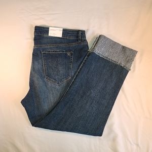 Jessica Simpson Stretch Jeans, Arrow Straight 18W